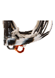 Ronix Recon Bimini Quick Connect Surf Rope 11in Handle R8 34FT